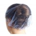 Nylon Disposable Hair Net Pk100