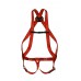 Basic Full Body Harness